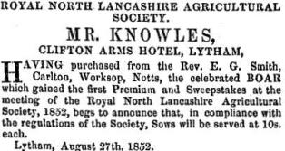 Advert from 1852