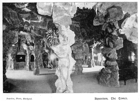 The Aquarium, Blackpool Tower c1899.