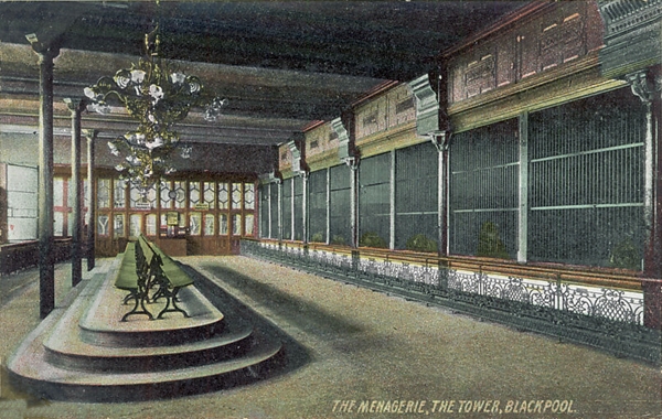 The Menagerie, Blackpool Tower c1904.