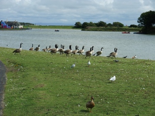 Fairhaven Lake