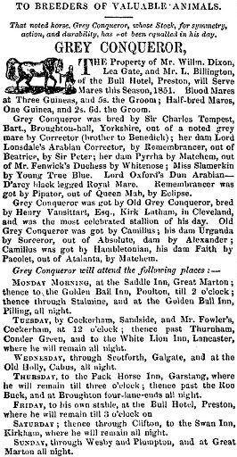 Grey Conqueror, a stud, visiting the Fylde in 1851. Including The Saddle, which was at the heart of the agricultural community of Great Marton. 