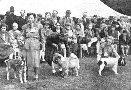 Lytham St.Annes Agricultural Show at Lytham Hall Park, August 1946.