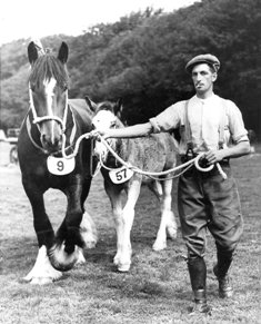 Tom Worthing of Peel Hall Farm, near Blackpool at Lytham St.Annes Agricultural Show, 1938.