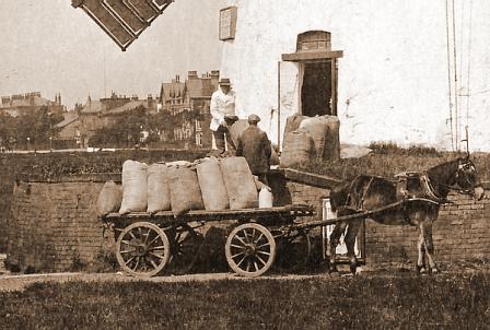 William Swann, the miller at Lytham Windmill from 1895 to 1919. William Swann, the miller aty Lytham Windmill from 1895 to 1919.